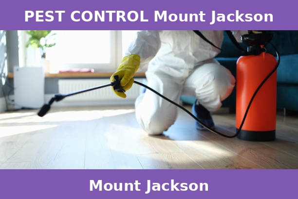 PEST CONTROL Mount Jackson